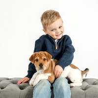 blog dogs spring 2023