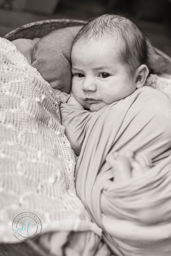 newborn Theo