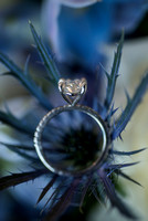 Julie and Ryan's Pen Ryn wedding
