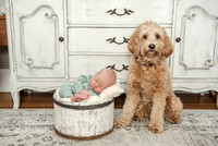 baby Michael -Hopkins family 2023