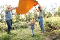 Golden meadow blog