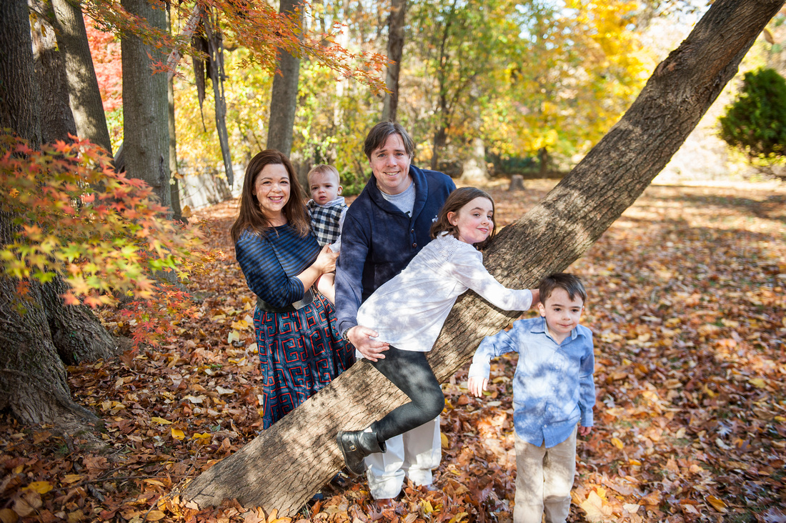A family a day