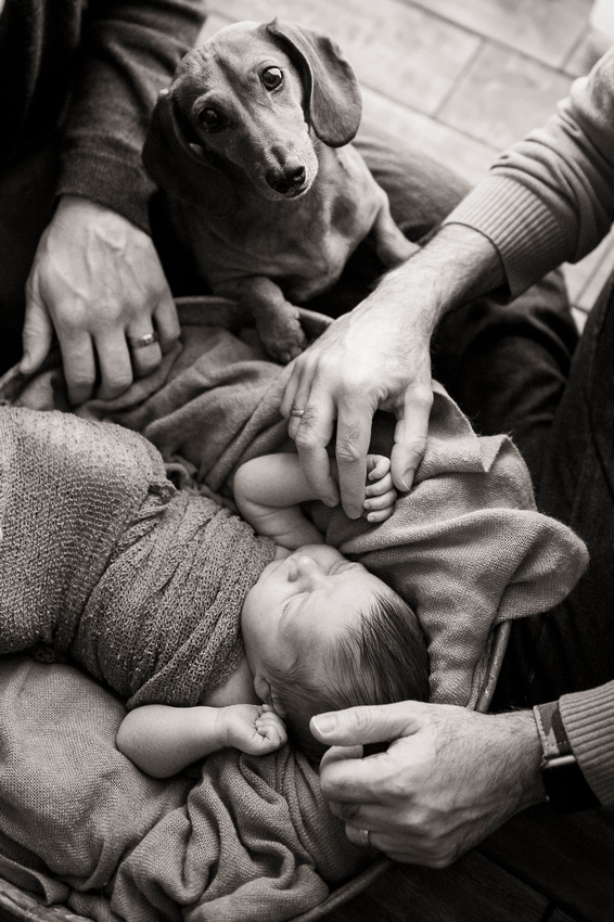 A family a day