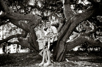 A family a day