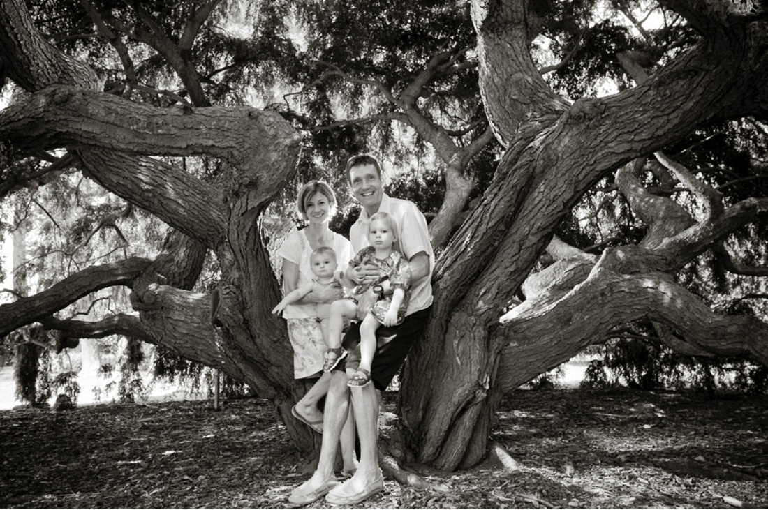 A family a day