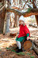Lyons session winter 2020