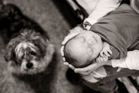 baby Thomas