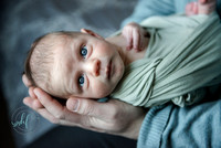 baby Judy blog