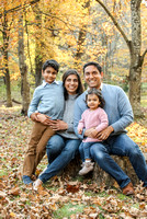 Narula family 2021 blog