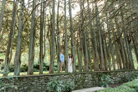 Parque Ridley Creek engagement photos