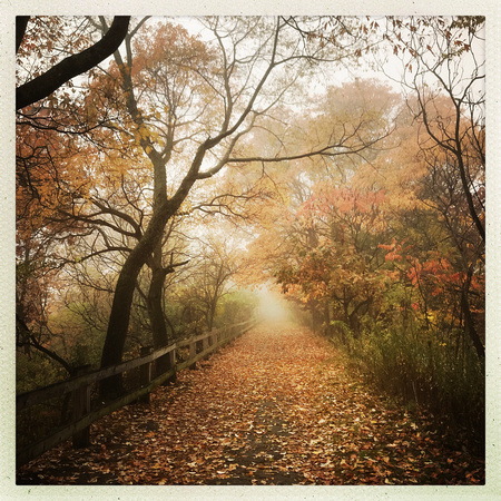 fine art photography